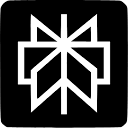 Perplexity AI icon